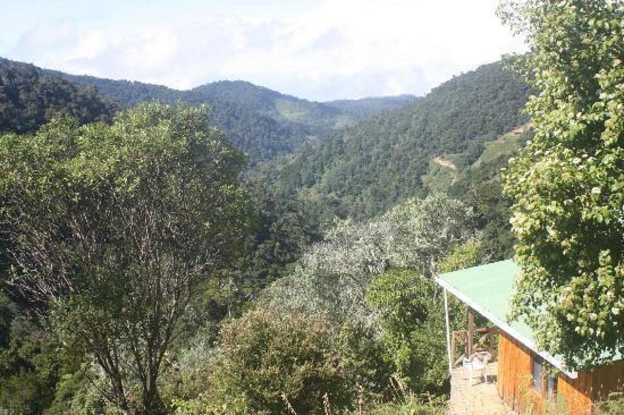 Quetzal Valley Cabins San Gerardo de Dota Extérieur photo