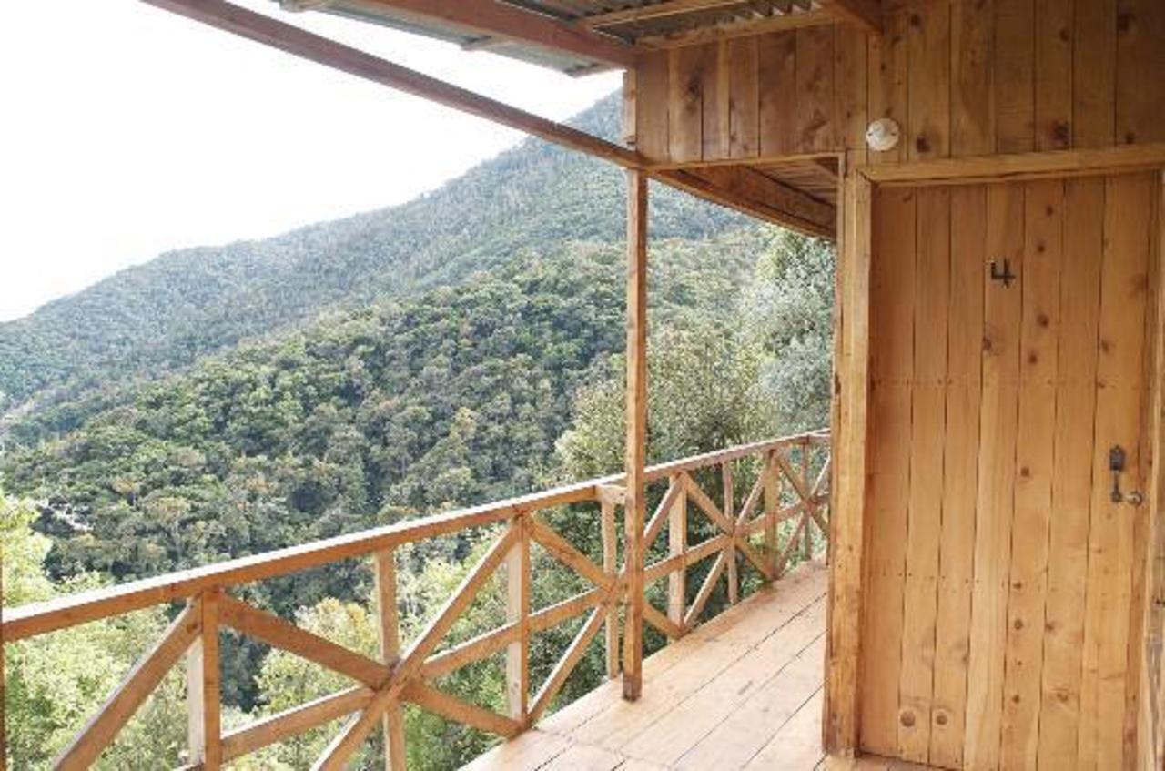 Quetzal Valley Cabins San Gerardo de Dota Extérieur photo