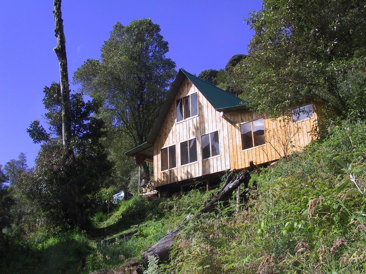 Quetzal Valley Cabins San Gerardo de Dota Extérieur photo