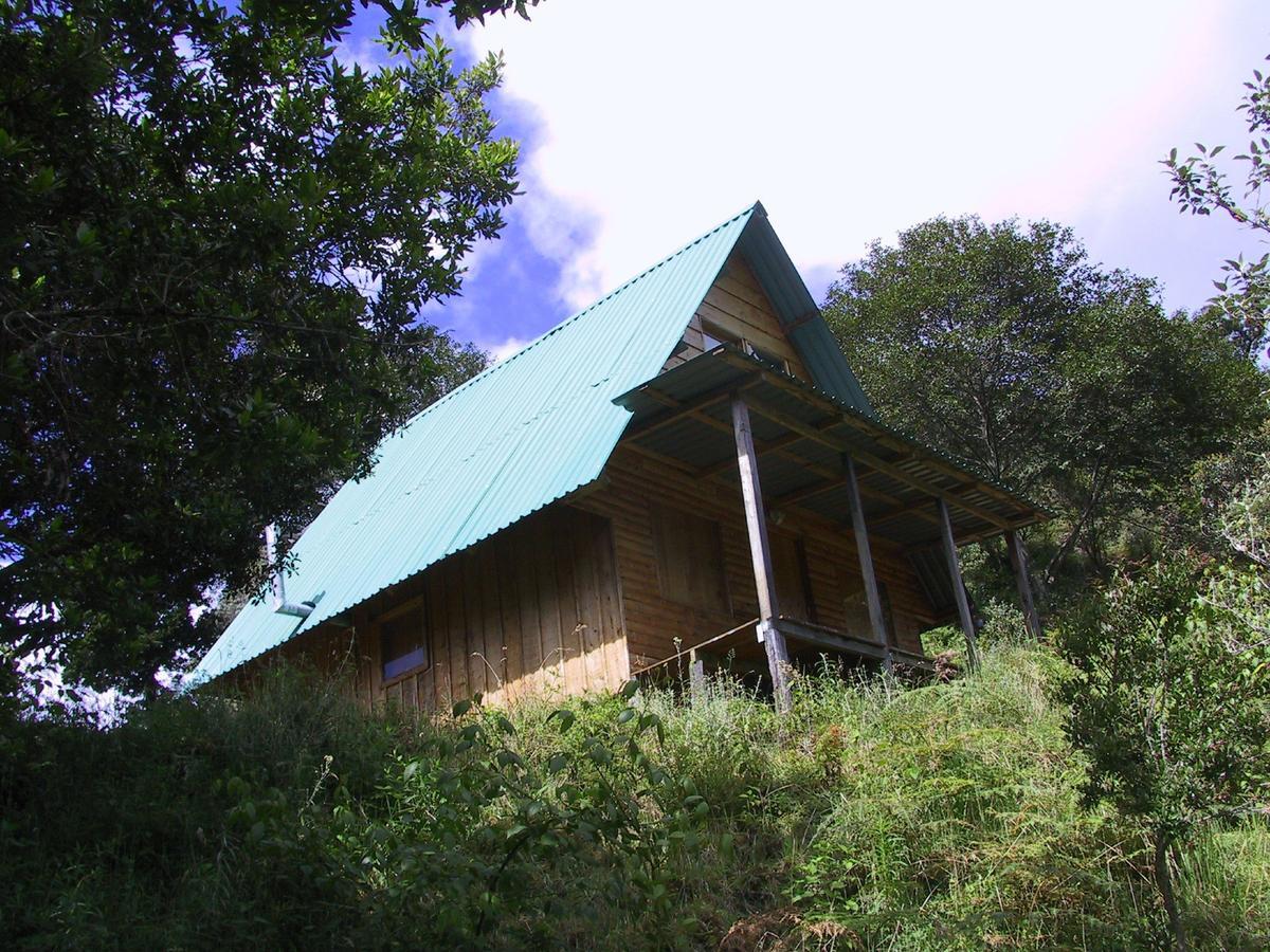 Quetzal Valley Cabins San Gerardo de Dota Extérieur photo