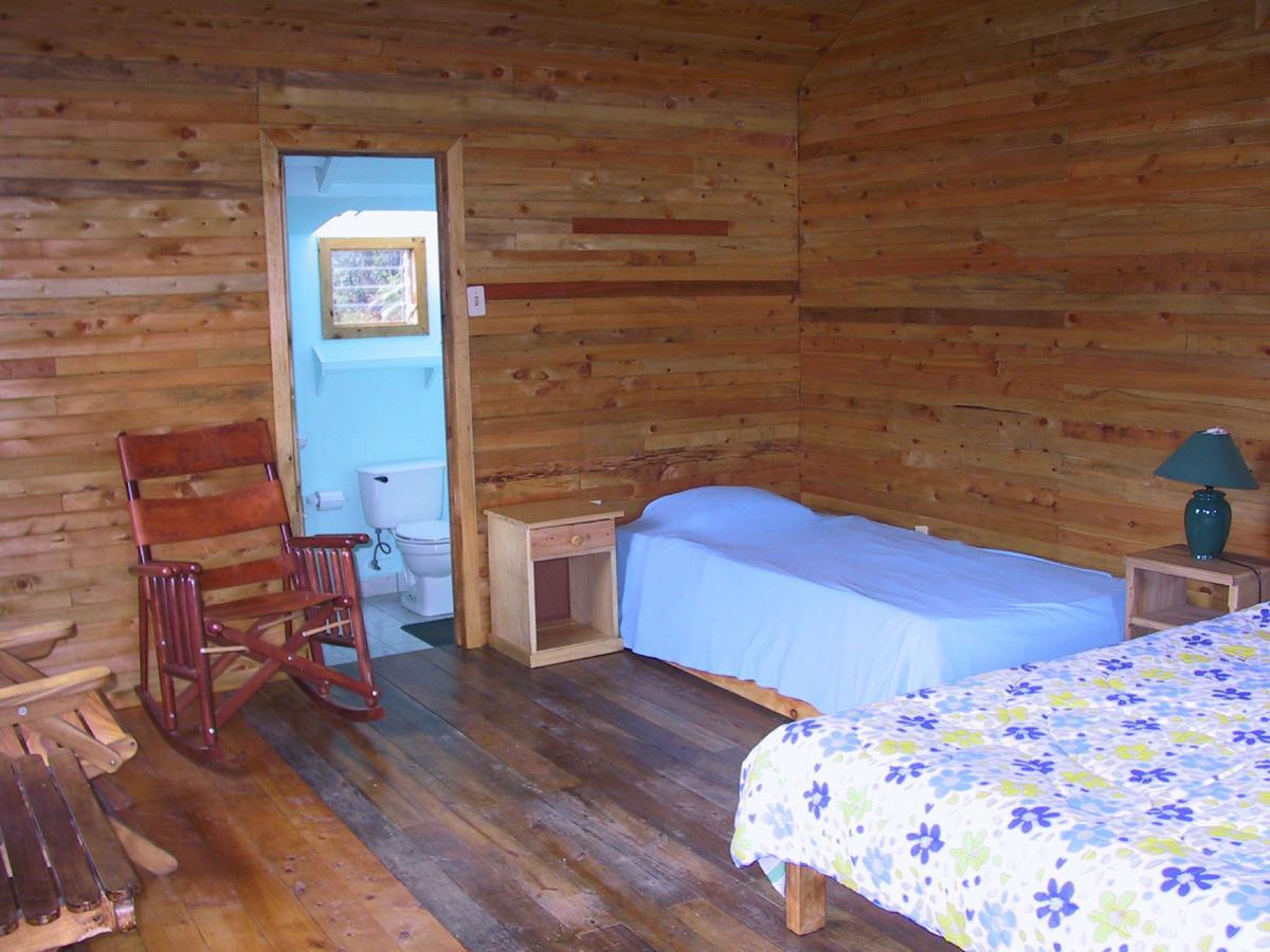 Quetzal Valley Cabins San Gerardo de Dota Extérieur photo