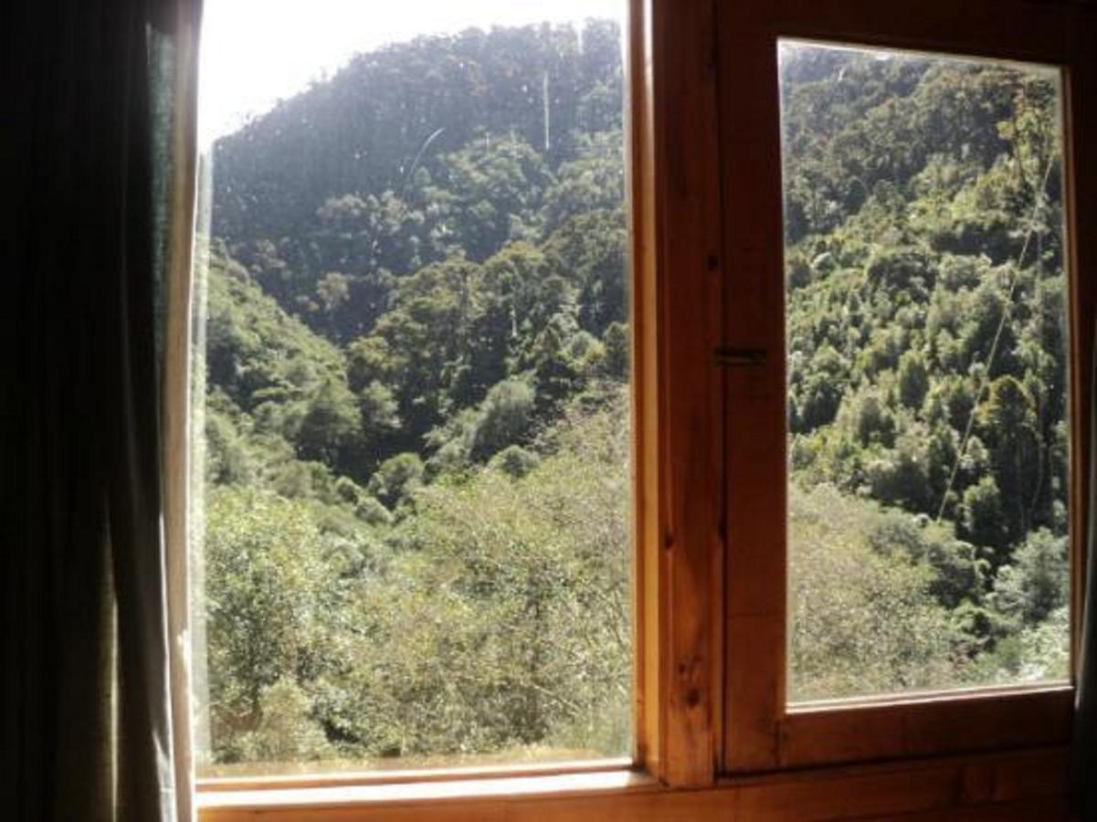 Quetzal Valley Cabins San Gerardo de Dota Extérieur photo