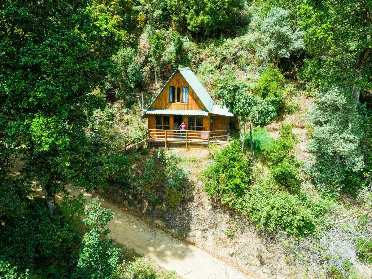 Quetzal Valley Cabins San Gerardo de Dota Extérieur photo